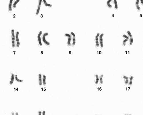 清宫以后多久才能备孕_清宫后备孕知识普及及准备工作